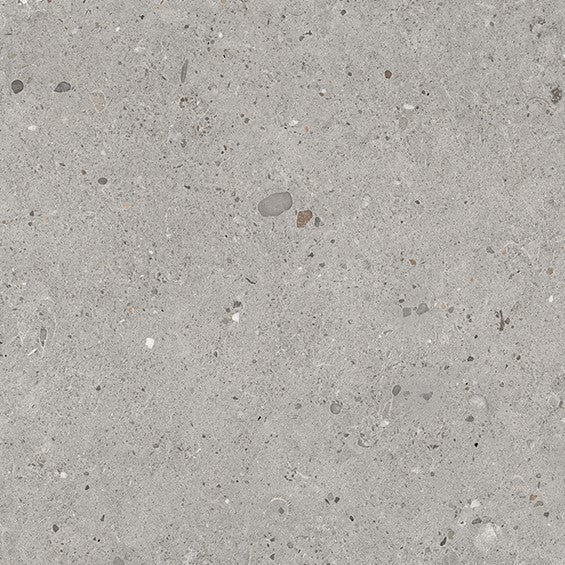 Alter Ego Grigio 60x120 - Tegeleend