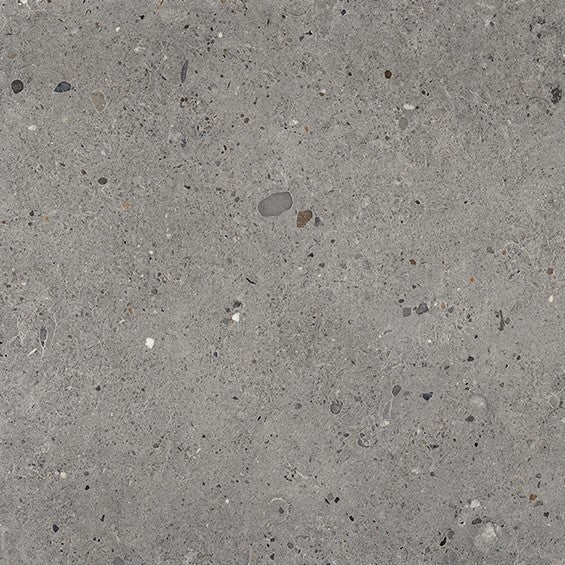 Alter Ego Grigio Scuro 20x120 - Tegeleend