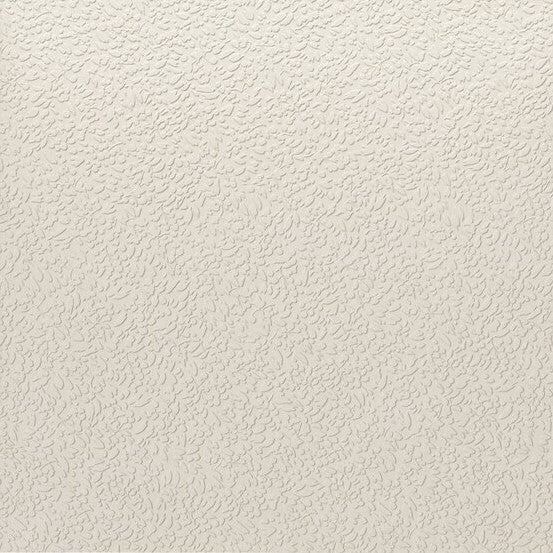 Argillae Nisus Neve Rect 30x60 - Tegeleend