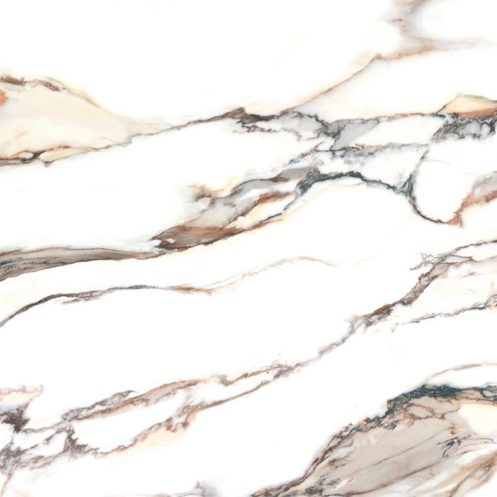 Calacatta gold polished 120x120 | 14,30m2 - Tegeleend