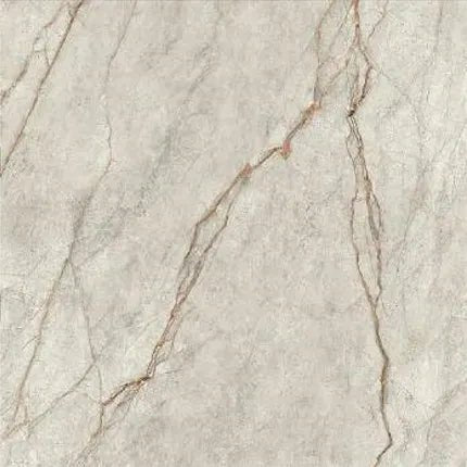 Imola The Room Grey Roots 60x120 Mat - Tegeleend