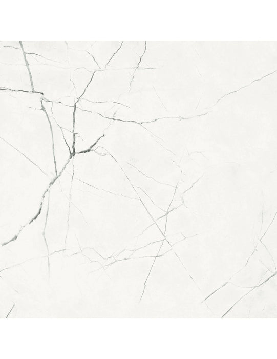 Imola The Room Statuario Vena Piccola 60x120 Mat - Tegeleend