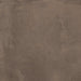 Argenta Powder Ambre 60x60 - Tegeleend