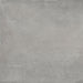 Argenta Powder Concrete 60x60 - Tegeleend