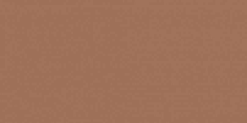 Baldocer Montmartre-Symphony-Neve Satin Terre 60x120 - Tegeleend