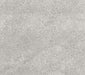 Gambini Jelling Silver 30x60,3 - Tegeleend