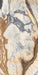 Imola The Room Calacatta Picasso 60x120 - Tegeleend