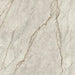 Imola The Room Grey Roots 60x120 Mat - Tegeleend