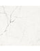 Imola The Room Statuario Vena Piccola 60x120 Glans - Tegeleend