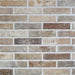 Rondine Tribeca multicolor 6x25 - Tegeleend