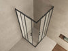 Skyline hoekinstap cabine met 2 schuifdeuren 1000 x 1000 x 2000 x 8 mm nano helder glas/mat zwart - Tegeleend