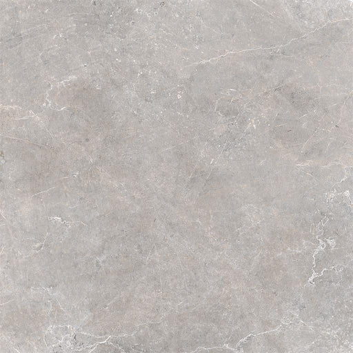 Unicom Starker Evostone Mist 60x120 (R) - Tegeleend